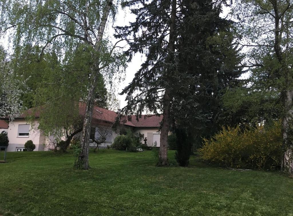 Schoene Ferienwohnung 2,5 Zimmer In Stadtnaehe Mit Eigenem Hofgarten بالينغن المظهر الخارجي الصورة